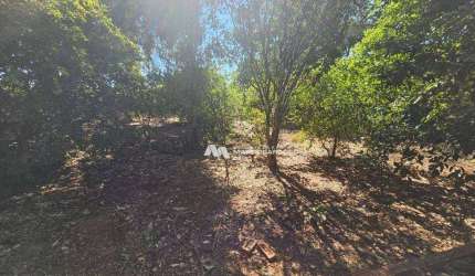 Chácara à venda, 1000 m² por R$ 150.000,00 - Centro - Ipiguá/SP