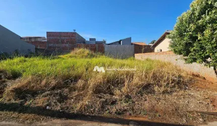 Terreno à venda, 320 m² por R$ 140.000,00 - Residencial Catelani - Bady Bassitt/SP