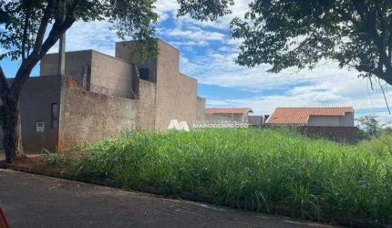 Terreno à venda, 200 m² por R$ 120.000,00 - Parque Vila Nobre - São José do Rio Preto/SP