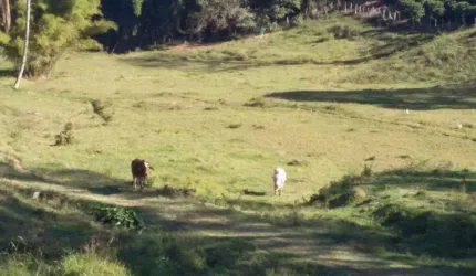 Chácara / sítio com 3 quartos à venda no Barrocão, Serra Negra  por R$ 2.400.000