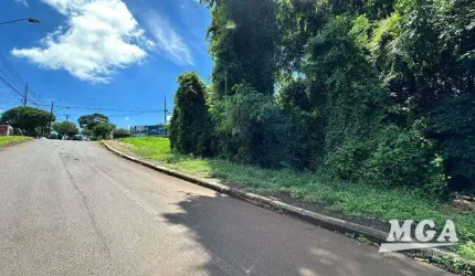 Terreno à venda, 544 m² por R$ 450.000,00 - Jardim Panorama - Foz do Iguaçu/PR