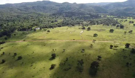 fazenda em Ivolândia