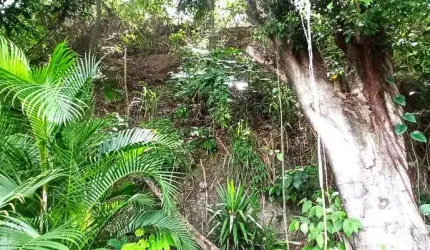 Lote/Terreno para venda tem 1500 metros quadrados em Taquara - Rio de Janeiro - RJ
