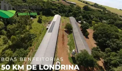 GRANJA A VENDA EM TAMARANA PR