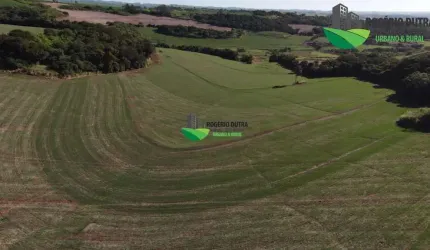 fazenda a venda em Londrina Sertanópolis Paraná
