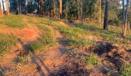 lote rural 4500metros