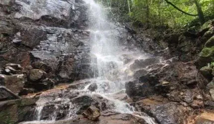 Terreno Rural com 1 alqueire e meio ( cerca de 36400 m2 ) com cachoeira e nascentes rico em água