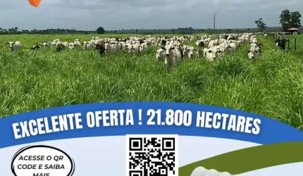Fazenda para Venda em Itinga do Maranhão, Área Rural
