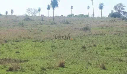 Fazenda à venda na Rua Rui Barbosa, Sn, Centro, Campo Grande, 522 m2 por R$ 40.000.000