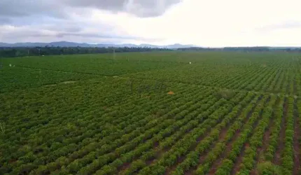 Fazenda à venda na Rural, SN, Centro, Itamaraju, 4185 m2