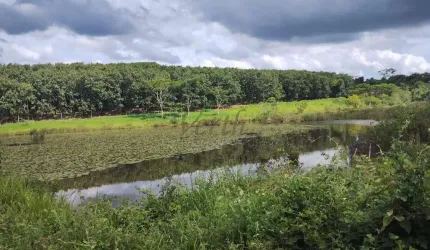 Fazenda à venda na Rural, 1000, Centro, São Paulo, 90 m2 por R$ 20.000.000