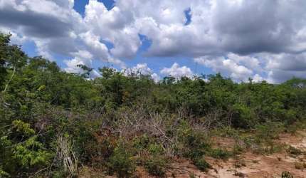 Fazenda à venda na Rural, 1000, Centro, Cocos, 6900 m2 por R$ 21.000.000