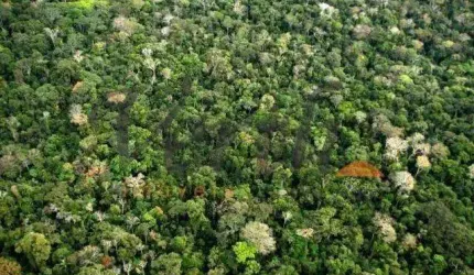 Fazenda à venda na Rua Marechal Floriano Peixoto 116, 01, Centro, Borba, 109000 m2 por R$ 54.500.000