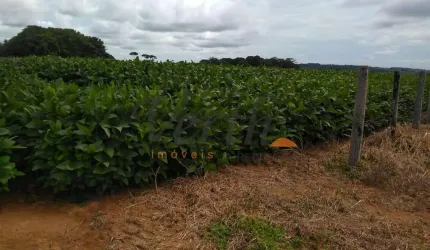 Fazenda à venda na Rural, sn, Cidade Alta, Alta Floresta, 585 m2 por R$ 60.000.000