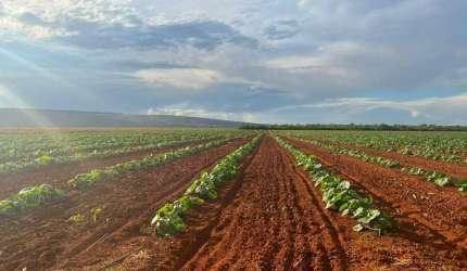 Fazenda à venda na A, 00, Fátima, Sete Lagoas, 2580 m2