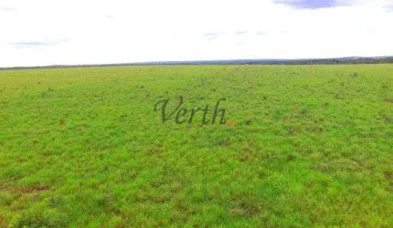 Fazenda à venda na Rural, 2222, Setor Central, Guaraí, 730 m2 por R$ 15.000.000