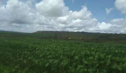 Fazenda à venda na Maestro João Luiz do Espírito Santo, Sn, Jardim Califórnia, Formosa, 1100 m2 por R$ 25.000.000
