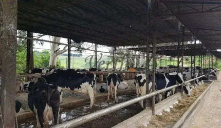 Fazenda à venda na Unaí, 1000, Mamoeiro, Unaí, 617 m2 por R$ 70.000.000