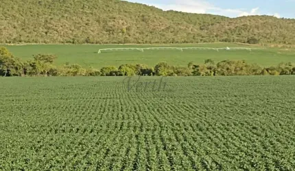 Fazenda à venda na Unaí, 5000, Mamoeiro, Unaí, 355 m2 por R$ 16.000.000
