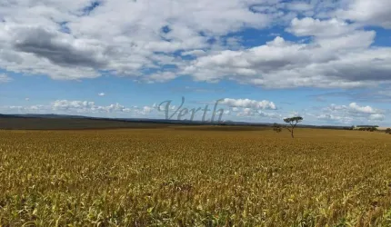 Fazenda à venda na Boa Ventura, 2000, Parque Lago, Formosa, 1600 m2