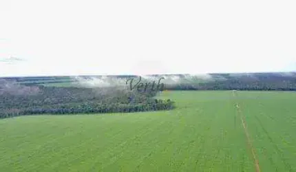 Fazenda à venda na Governador Júlio Campos, 150, Setor Comercial, Sinop, 616 m2