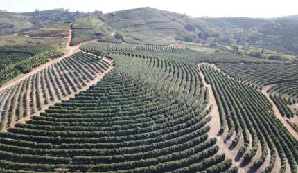 Fazenda à venda na Praça Coronel Gustavo Ribeiro, 63, 1000, Centro, Caconde, 406 m2 por R$ 45.000.000