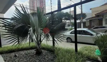 Apartamento para compra no Parque São Jorge.