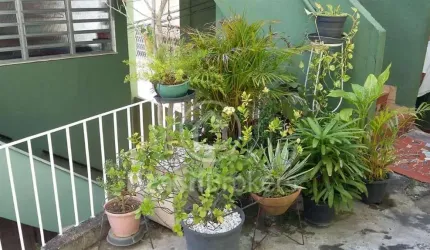 Apartamento à venda com 74,00m² e 2 quartos em Piedade, Rio de Janeiro - rj