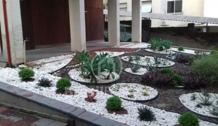 Laranjeiras preço de oportunidade