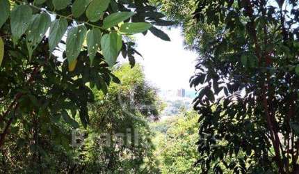 Oportunidade no Jardim Botânico