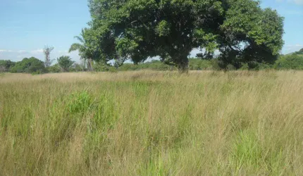 Área à venda, 101 m² por R$ 4.500.000,00 - Chaperó - Itaguaí/RJ