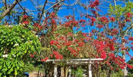 Chácara / sítio com 3 quartos à venda na Fazenda Canta Galo, s/n, Zona Rural, São Sebastião do Paraíso, 180 m2 por R$ 460.000