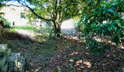 Terreno comercial à venda na Rua Padre Jose Correa, 90, Das Posses, Serra Negra por R$ 210.000