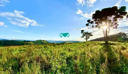 Terreno à Venda com 20000 m²