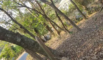 Terreno à venda, Vila Nova São Roque, São Roque, SP comercial ou residencial