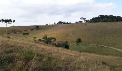 Terreno Centro São Francisco de Paula