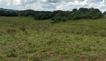 Terreno Juá São Francisco de Paula