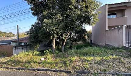 Terreno Lote para Venda em Vila Solene Campo Largo-PR