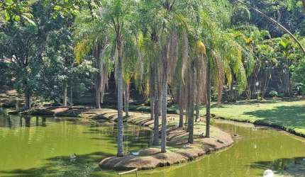 Casa em Condomínio à venda, 3 quartos, 1 suíte, 2 vagas, Colinas do Piracicaba (Ártemis) - PIRACICABA/SP