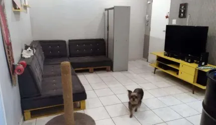 Apartamento Alto da Mooca São Paulo/SP
