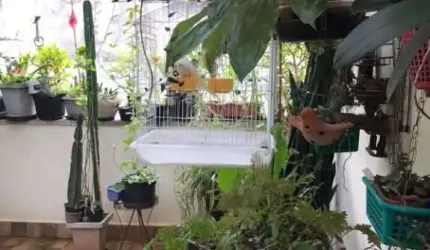 Sobrado com 5 quartos, Mooca, São Paulo - R$ 1.79 mi, Cod: 7127