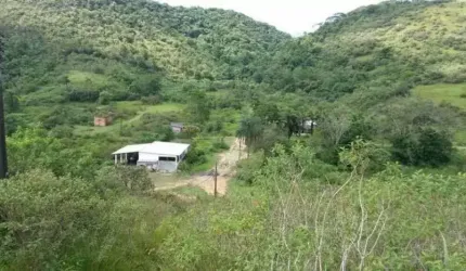 Fazenda com 80 Alqueires à Venda em Guapimirim