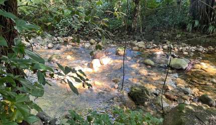 Sítio com cachoeira nos Fundos no Centro de Guapimirim