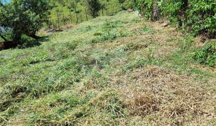 Loteamento à venda em Núcleo Residencial Porto Seguro - SP