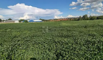 Área a venda em Limeira, com ótima topografia e 45 mil metros