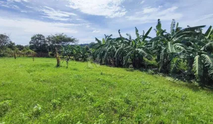 Excelente Imóvel Rural!