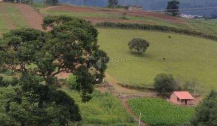 Sítio à venda no bairro Área Rural de Caldas