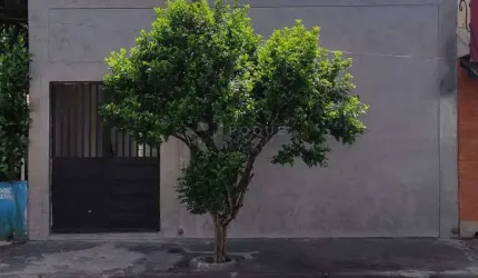 Casa Residencial para aluguel no bairro Vila São João