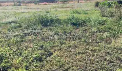 Terreno para aluguel no bairro Residencial Colinas do Engenho I