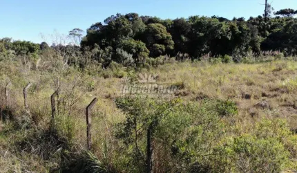 Terreno comercial à venda na Rua Mário Dybas, 111, Cidade Industrial, Curitiba por R$ 7.510.228